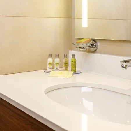 Hilton Garden מלון ווינר נוישטאדט